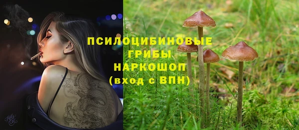 стафф Белокуриха