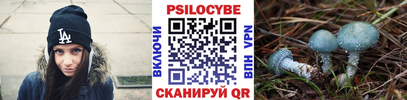Купить  Фурманов  Галлюциногенные грибы Magic Shrooms 